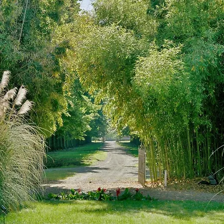 Gessa Paradise Near Bologna Villa
